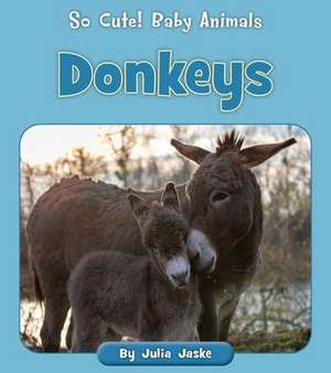 Donkeys de Julia Jaske