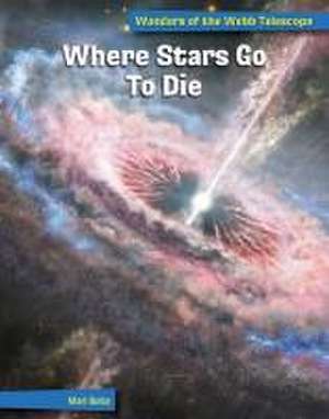 Where Stars Go to Die de Mari Bolte