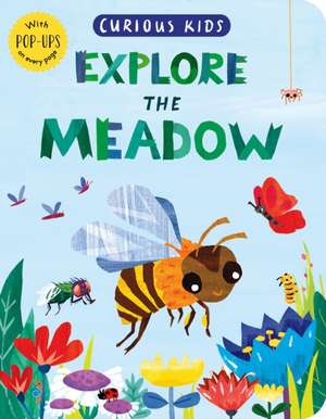 Curious Kids: Explore the Meadow de Jonny Marx