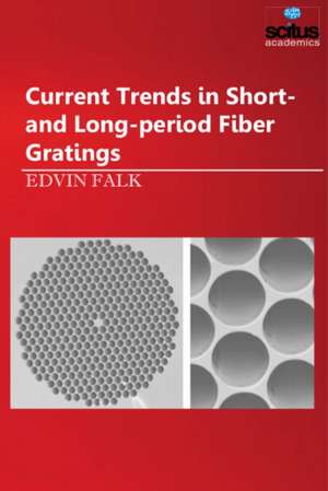 Current Trends in Short- and Long-period Fiber Gratings de Edvin Falk