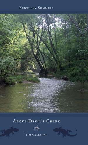 Above Devil\'s Creek de Tim Callahan