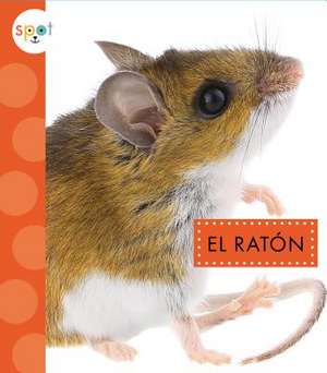 El Ratón de Marysa Storm