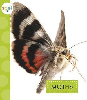 Moths de Nessa Black