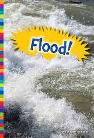 Flood! de Elizabeth Raum