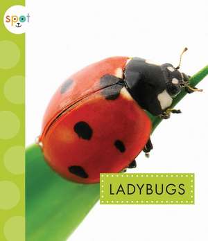 Ladybugs de Nessa Black