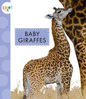 Baby Giraffes de K. C. Kelley