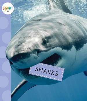 Sharks de Mari C. Schuh