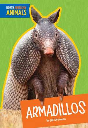 Armadillos de Jill Sherman