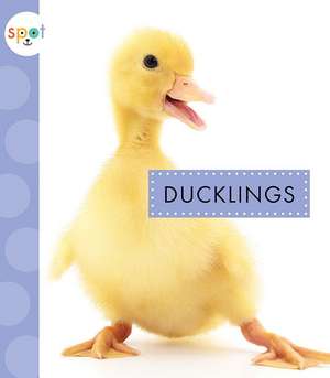 Ducklings de Anastasia Suen