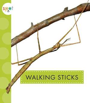 Walking Sticks de Nessa Black