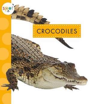 Crocodiles de Mary Ellen Klukow