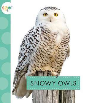 Snowy Owls de Anastasia Suen