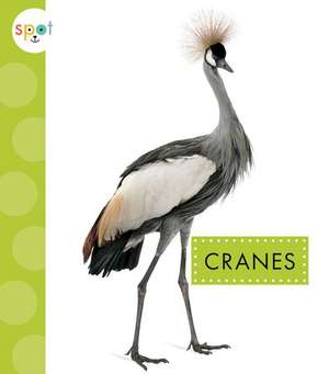 Cranes de Jessica Amstutz