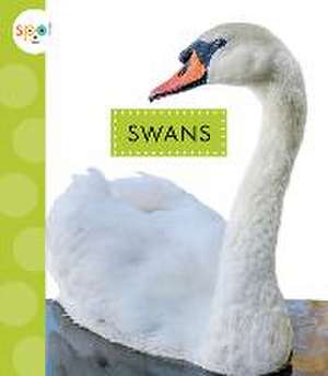 Swans de Lisa Amstutz