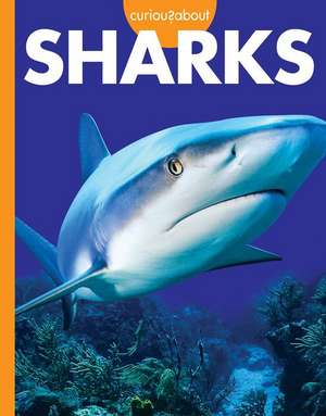 Curious about Sharks de Amy S Hansen