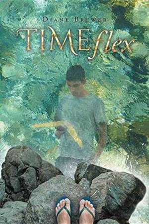 TimeFLEX de Diane Brewer