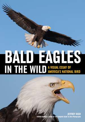 Bald Eagles In The Wild: A Visual Essay of America's National Bird de Jeffrey Rich