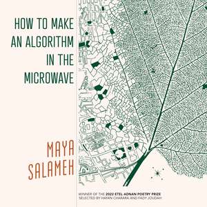 How to Make an Algorithm in the Microwave de Maya Salameh