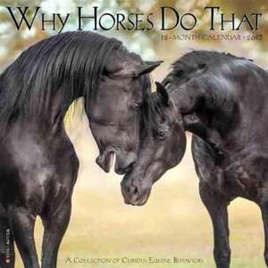 2017 Why Horses Do That Wall Calendar de Willow Creek Press