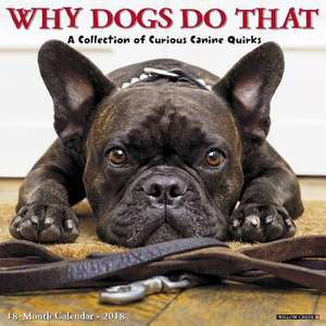 Why Dogs Do That 2018 Wall Calendar de Willow Creek Press