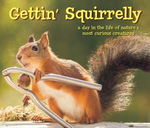 Gettin Squirrelly Hardcover Gift Book de Willow Creek Press