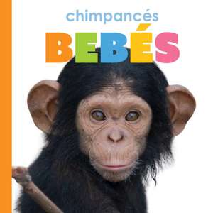 Chimpances Bebes de Meg Greve