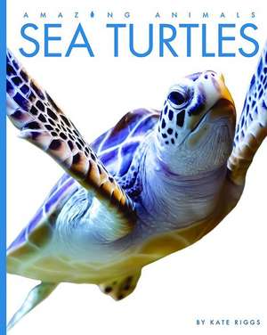 Sea Turtles de Kate Riggs