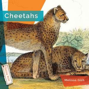 Cheetahs de Rachael Hanel