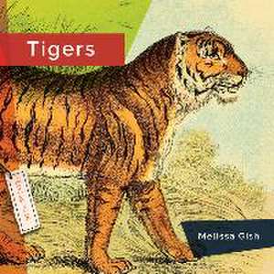 Tigers de Rachael Hanel