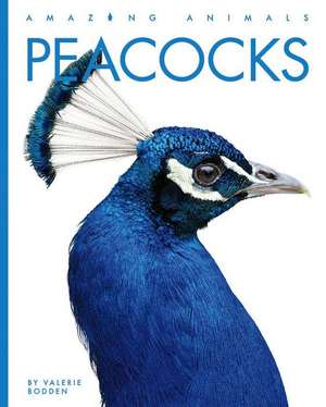 Peacocks de Valerie Bodden