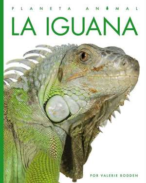 La Iguana de Kate Riggs