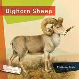 Bighorn Sheep de Melissa Gish