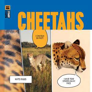 Cheetahs de Kate Riggs