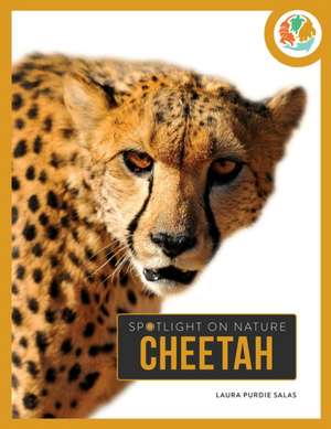 Cheetah de Laura Salas