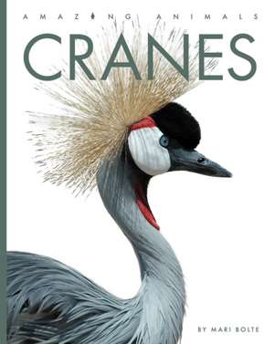 Cranes de Mari Bolte