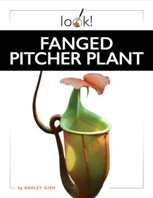 Fanged Pitcher Plant de Ashley Gish