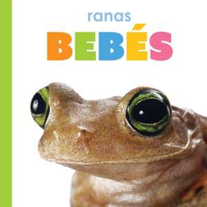 Ranas Bebés de Kim Thompson
