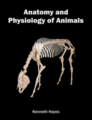 Anatomy and Physiology of Animals de Kenneth Hayes