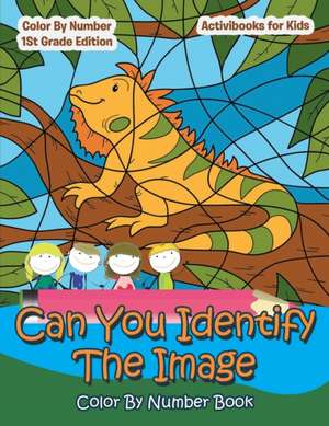 Can You Identify The Image Color By Number Book de Activibooks For Kids