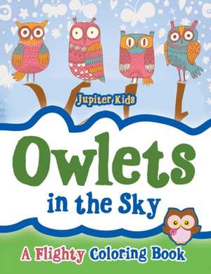 Owlets in the Sky de Jupiter Kids