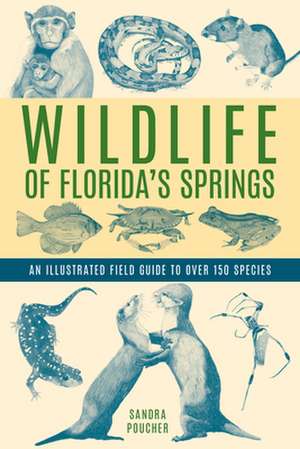 Wildlife of Florida's Springs de Sandra Poucher