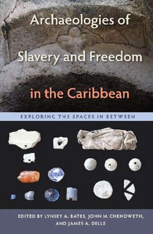 Archaeologies of Slavery and Freedom in the Caribbean: Exploring the Spaces in Between de James A. Delle