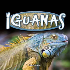 Iguanas de Darla Duhaime