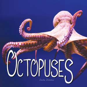 Octopuses de Duhaime