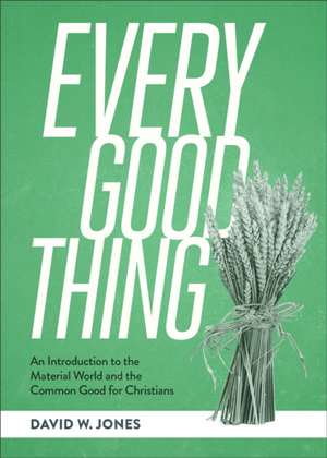 Every Good Thing de David W. Jones