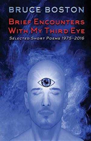 Brief Encounters with My Third Eye de Bruce Boston