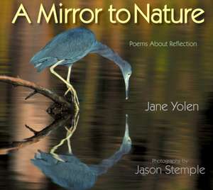 Mirror to Nature, A de J Yolen