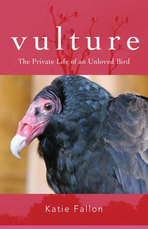 Vulture: The Private Life of an Unloved Bird de Katie Fallon