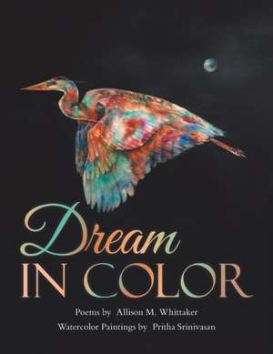 Dream in Color de Allison M. Whittaker