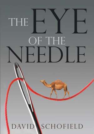 The Eye of the Needle de David Schofield